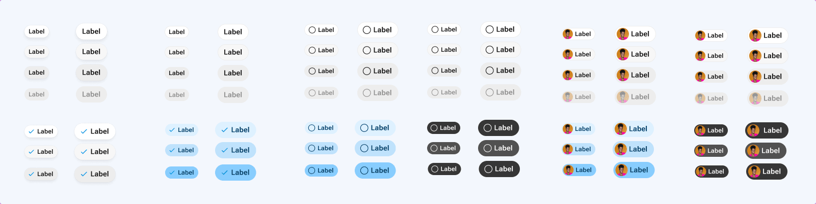 The Choice Chip variant field — every size, state, selection, disabled, dark and avatar combination laid out as a grid